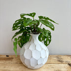 Honeycomb Whitewash Vase