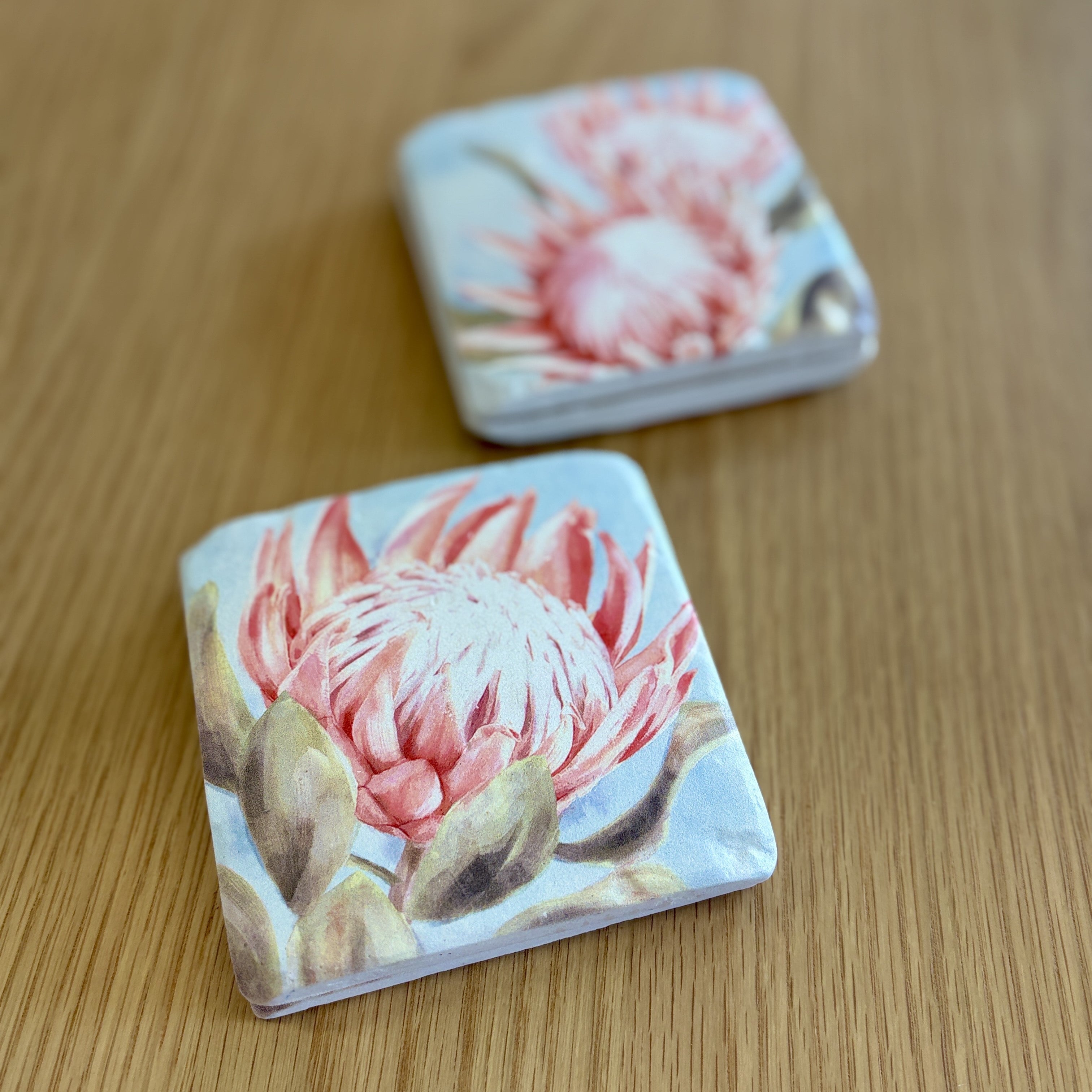 King Protea Coasters - S4