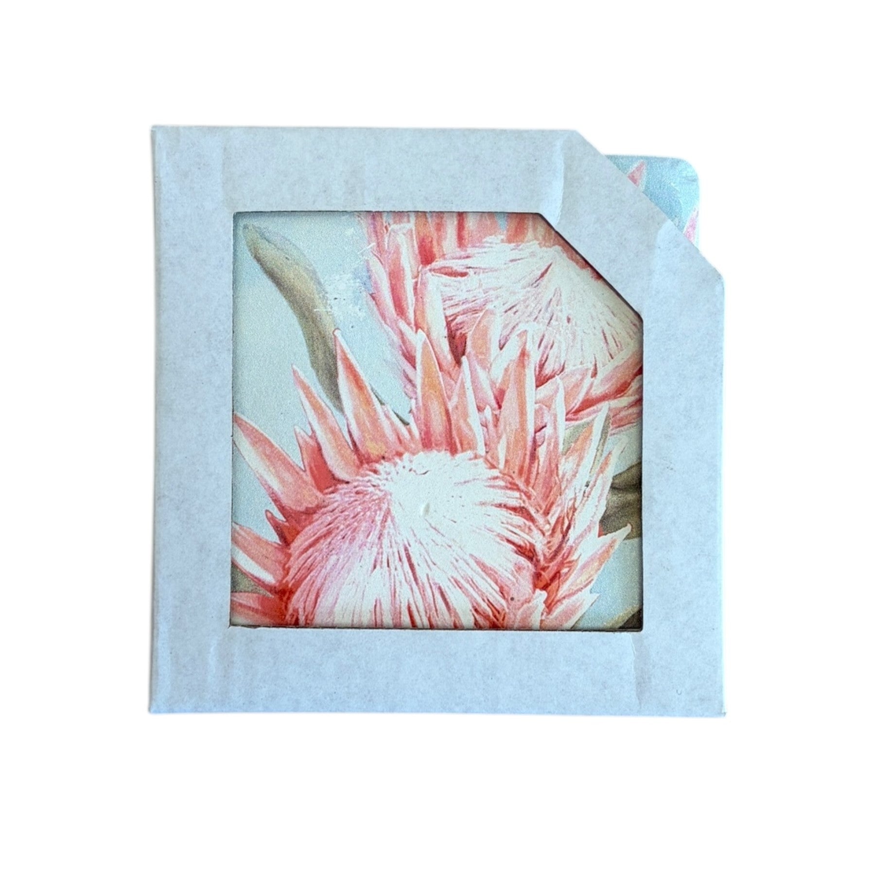 King Protea Coasters - S4