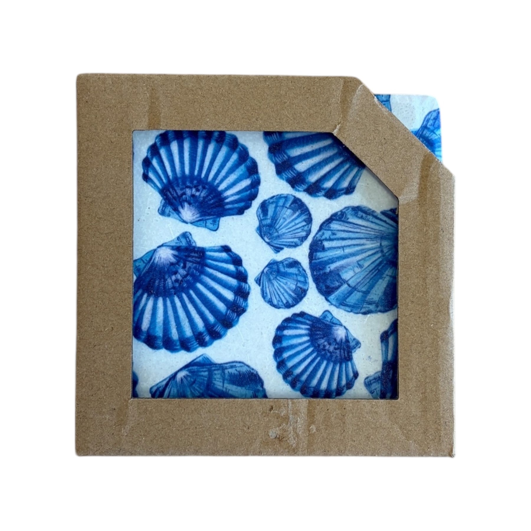 Shell Resin Coasters - S4