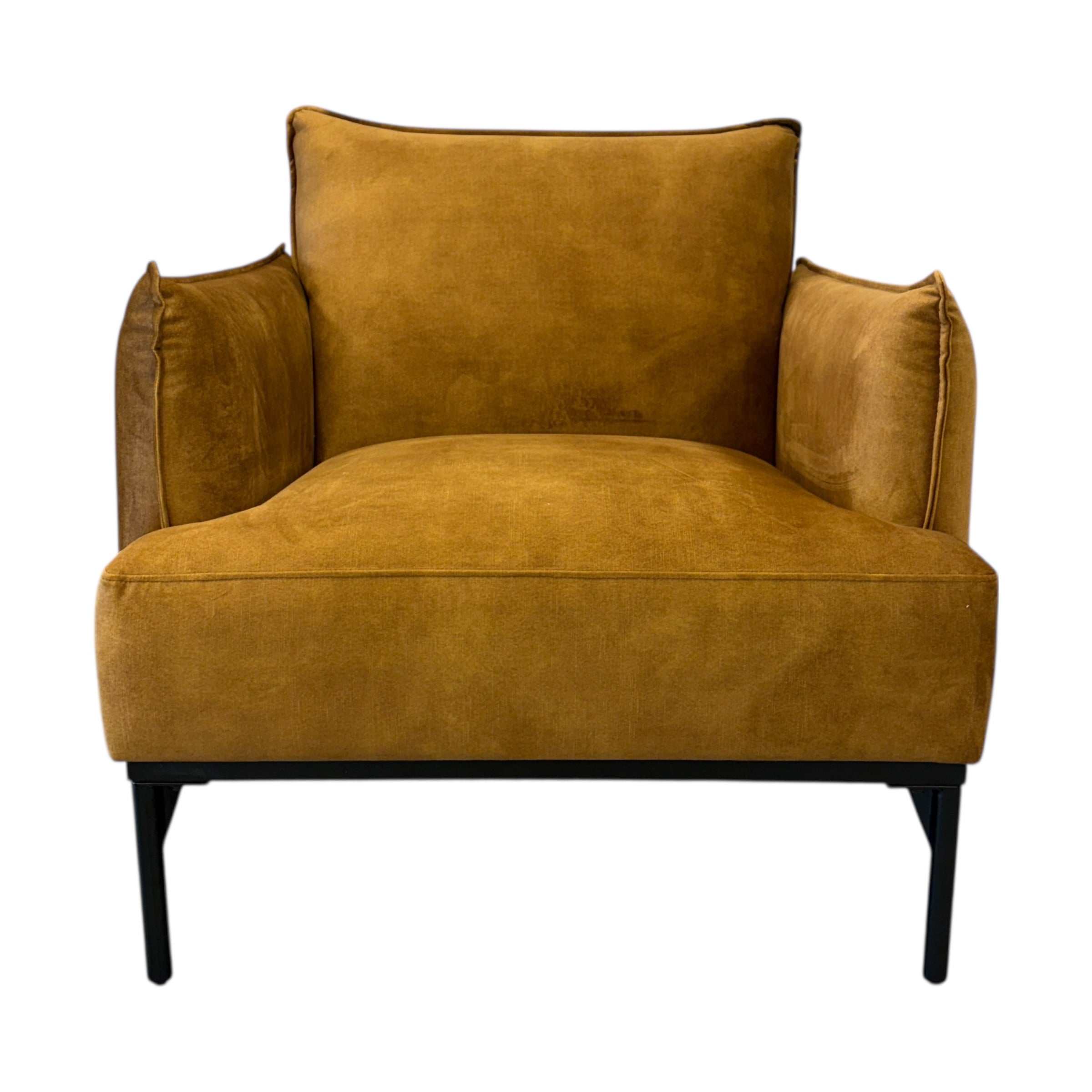 Sydney armchair in Gold fabric with a contemporary curved design.